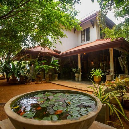 Evergreen Hotel Dambulla Exterior foto