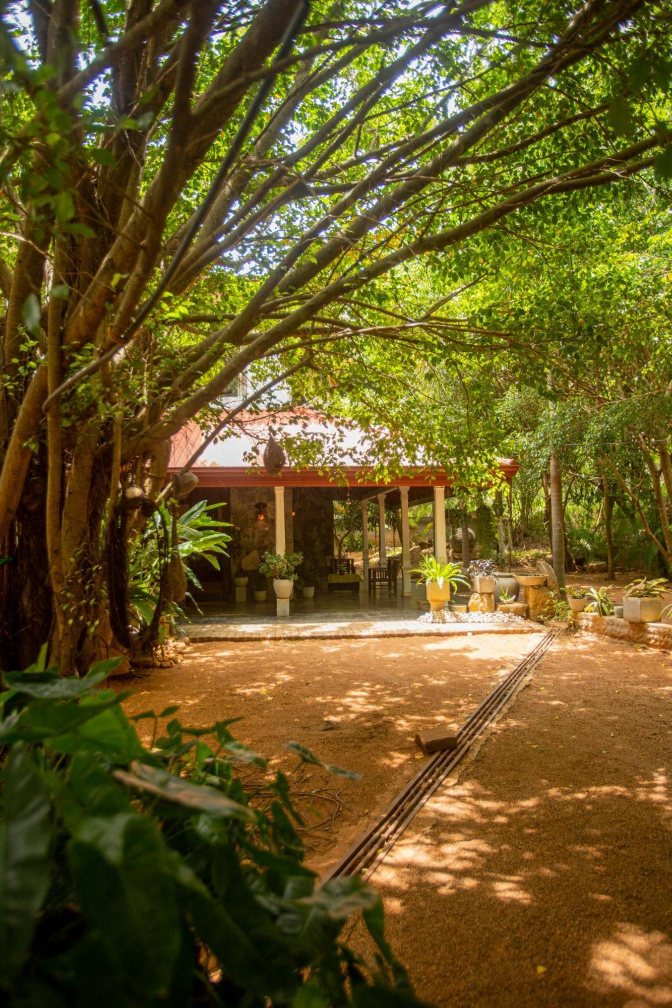 Evergreen Hotel Dambulla Exterior foto